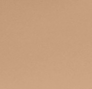 691 - Light Bronze Painted